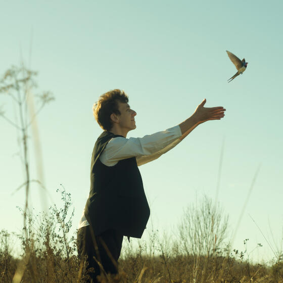 Белой ласточкой - Магнер (2026)